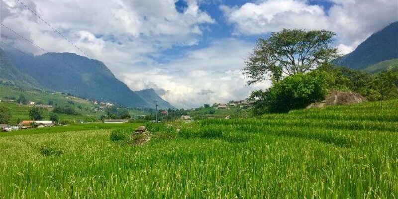 Part 4 [Vietnam Motorcycle Diaries]: Rice Paddy Treks & Cheating on Delilah – A Brother Abroad