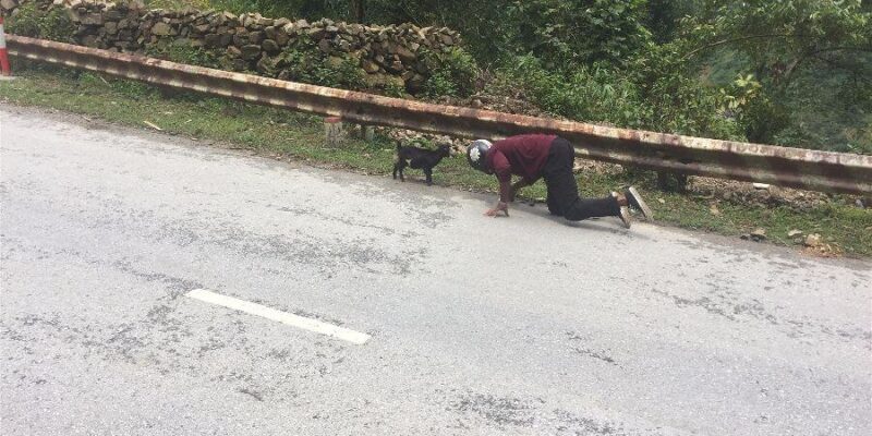 Part 3 [Vietnam Motorcycle Diaries]: Layla Takes a Dive…or Three