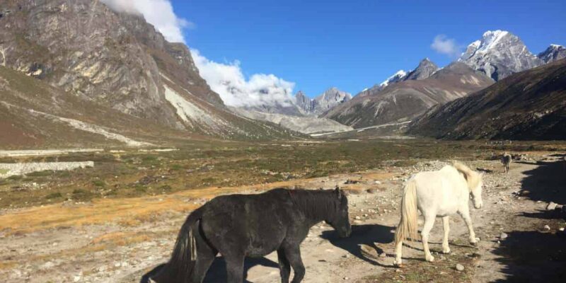 Pt 0: Why go to Everest? (Experiencing The Everest Base Camp Hike) – A Brother Abroad