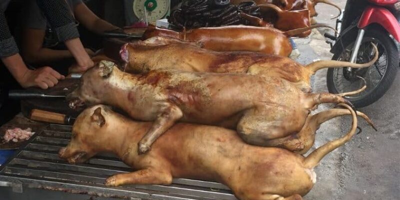 “What are some weird foods around the world that you’ve eaten?” – Ask a Brotha… about crazy food…