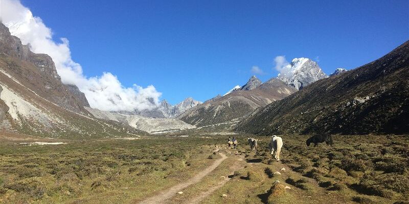 Part 6: Feeling Human: Pheriche to Gorak Shep on the Everest Base Camp Hike