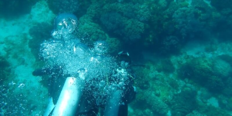 Diving Apo Island without tanks & Freediving the Philippines