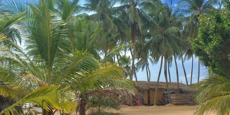 Best Places to Visit in Sri Lanka for a Real Sri Lanka Experience | What to See, Best Beaches, Best Experiences, and More