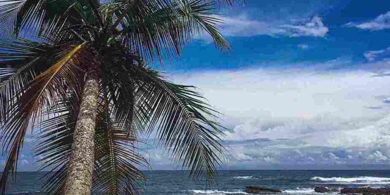 The Perfect Sri Lanka Itinerary | 3 Weeks of Adventure in the Garden of Eden