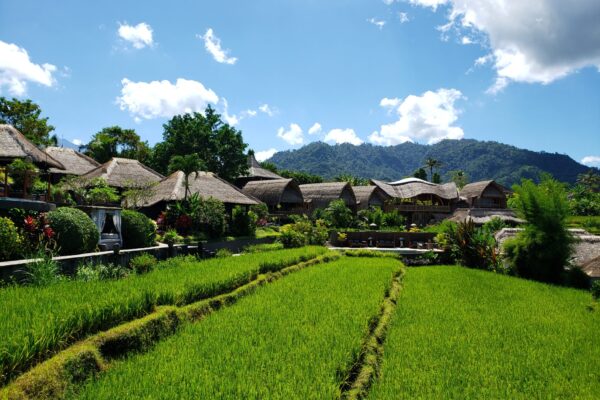 Moving to Bali | 15 Easy Steps, 41 Tips, and a Quick Guide to Living and Working in Bali