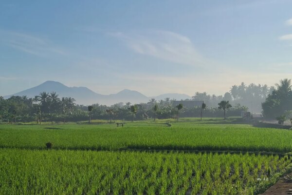 The Complete Guide to Moving to Bali as a Foreigner: Costs, Pros and Cons, and Perspectives of a Nomad on Bali