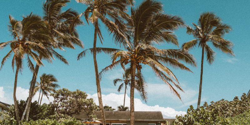 Monthly Cost of Living by Country Rankings: The Cheapest, Best, and Most Expensive Countries to Live in.