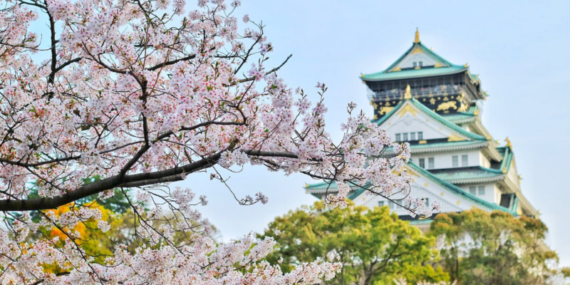 The Essential Digital Nomad’s Guide to Japan : Everything you need to know