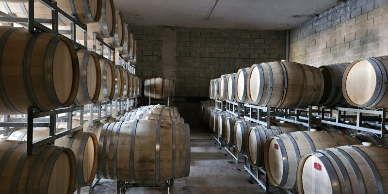 Mendoza Argentina Guide: The Essentials for a Wonderful Stay of 2 Days or 2 Months