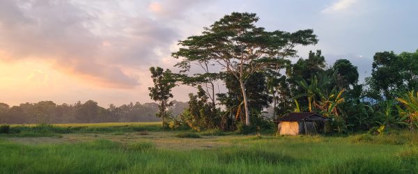 I Built a Villa in Bali three years ago: Was it worth it?